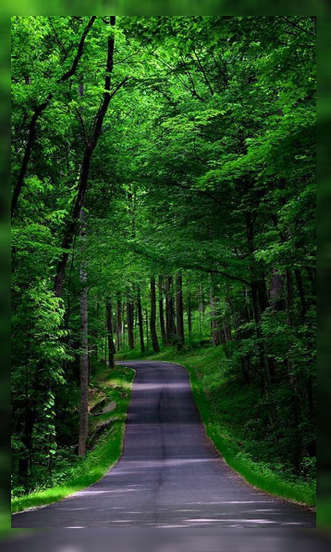 480x800 4K Nature Wallpaper on Amazon Appstore