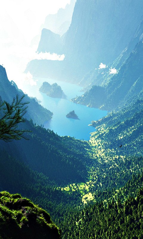 480x800 Valley Beautiful Widescreen Wallpaper 119254