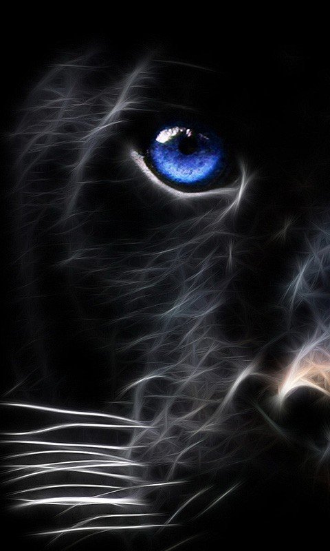 480x800 Cell Phones_wallpaper