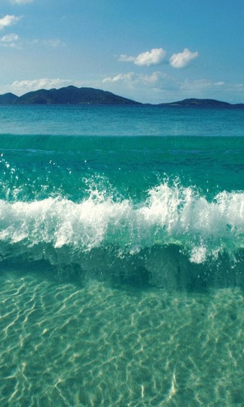 480x800 Ocean Wallpaper HD 04416