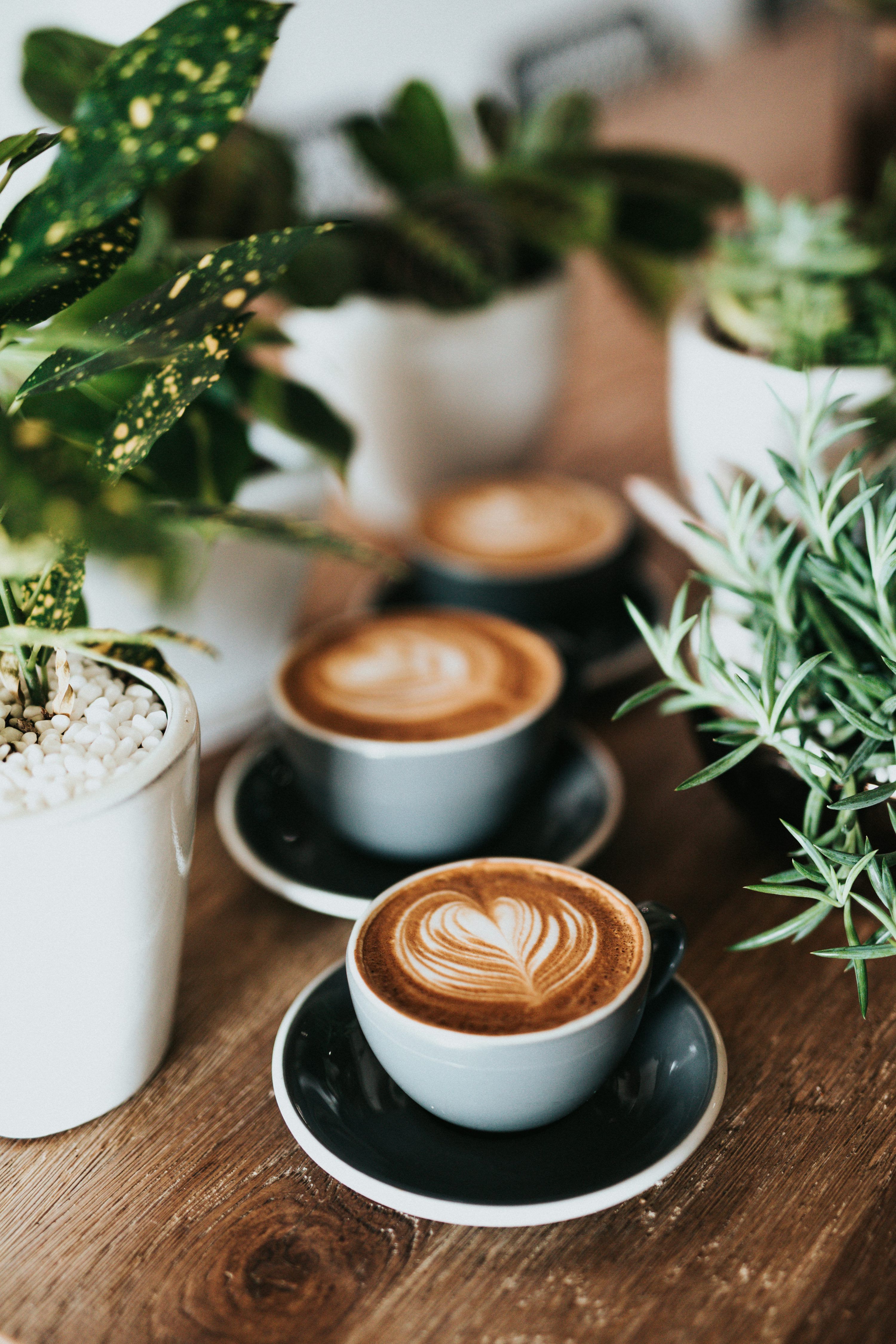 3000x4500 Coffee Picture. Download Free Image