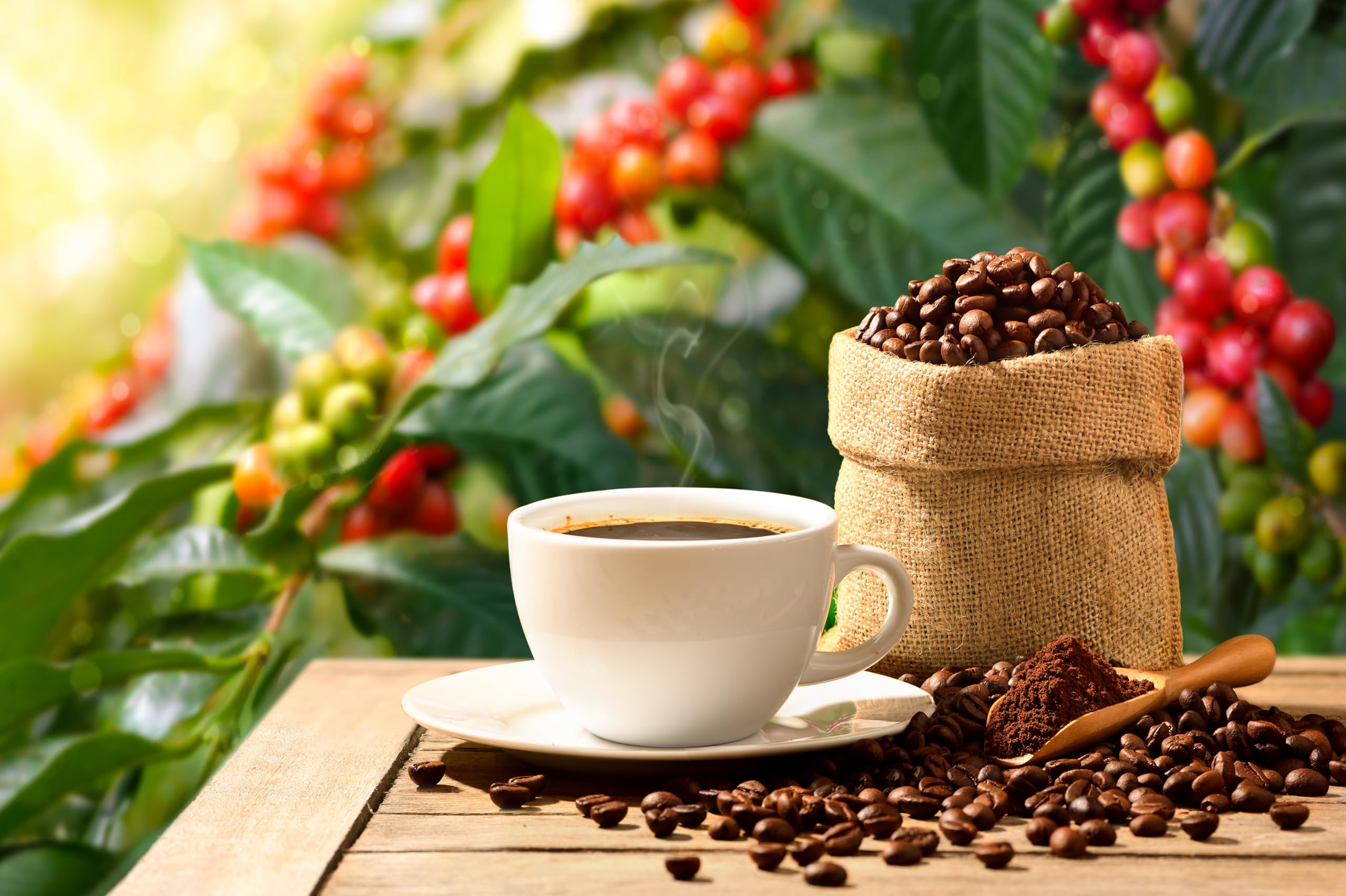 2560x1704 Amazon.com : chnywork 5x4ft Coffee Themed Backdrop Fresh Arabica Coffee Bean Cafe Shop Hot Cup Background Cafe Theme Party Decor Shop Photo Booth Studio Props Wallpaper