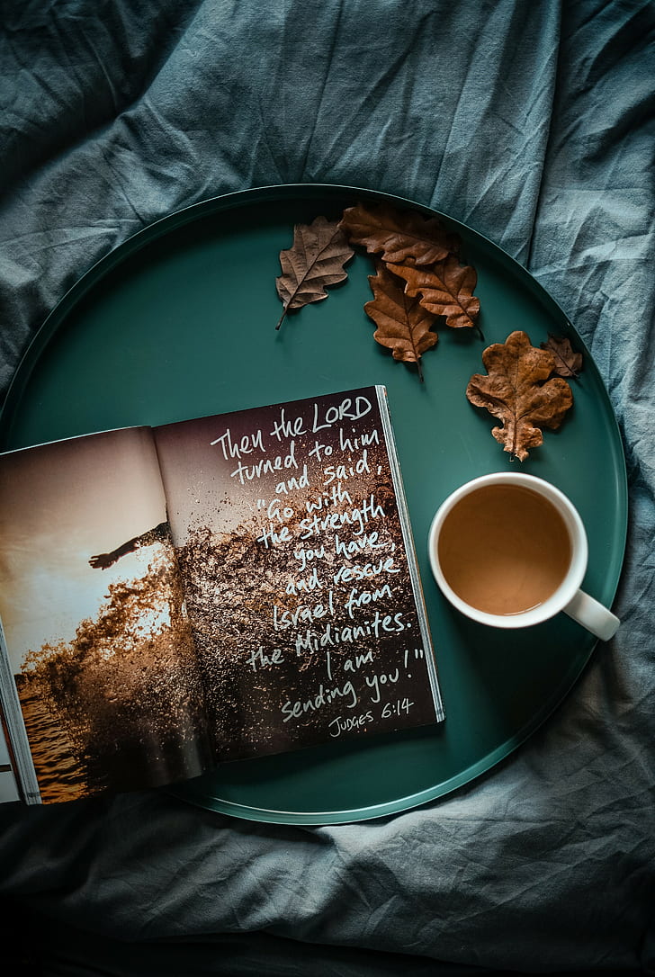 728x1086 HD wallpaper: Magazine, Inscription, Tray, Tea, Leaves, food and drink, cup