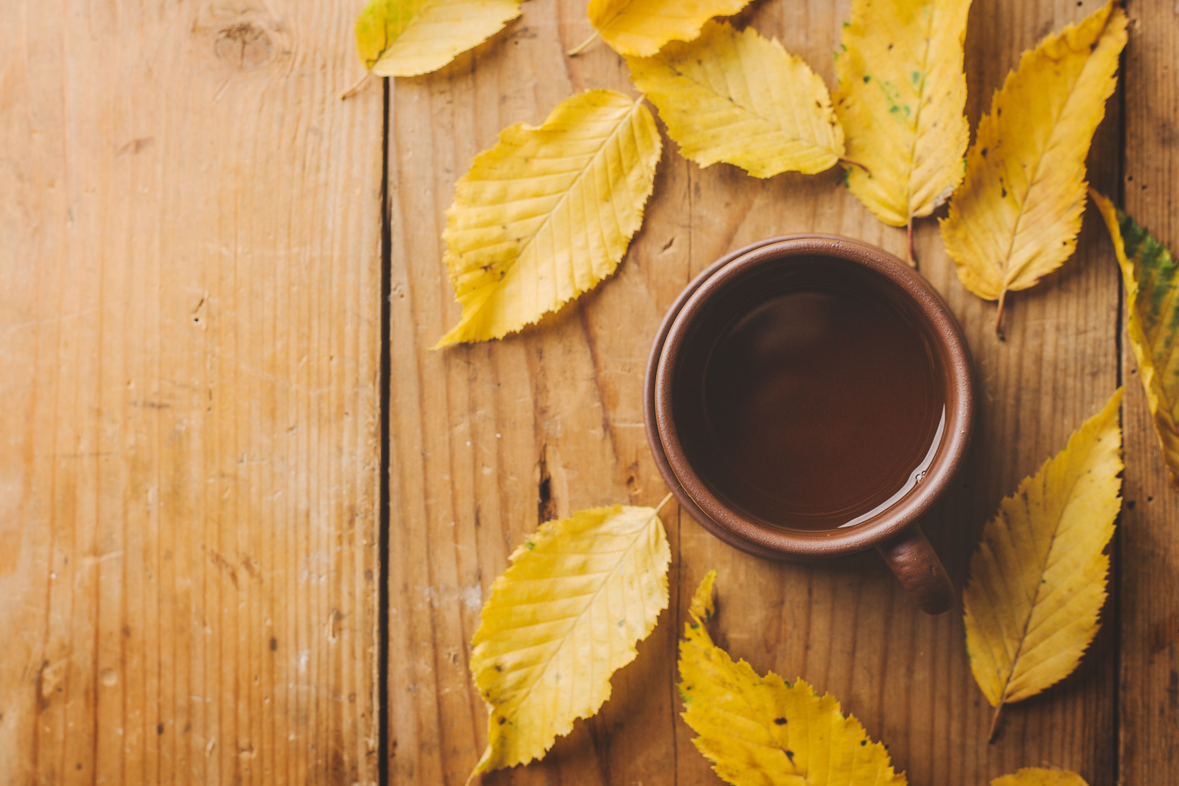 4458x2973 Free cup, autumn, Cup 4K wallpaper for desktop and phone