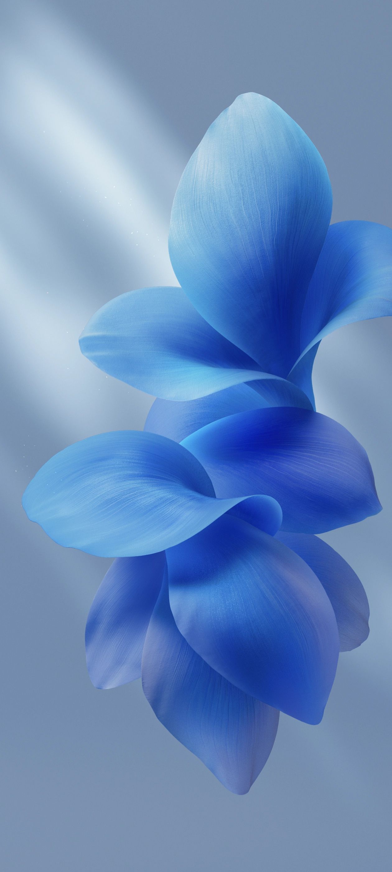 1260x2800 OriginOS 6 Wallpaper and Background