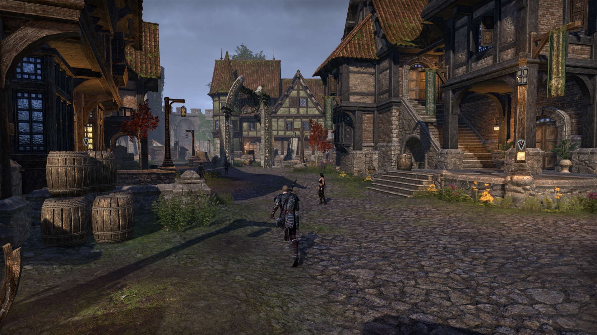 1920x1080 The Elder Scrolls Online: Blackwood Review