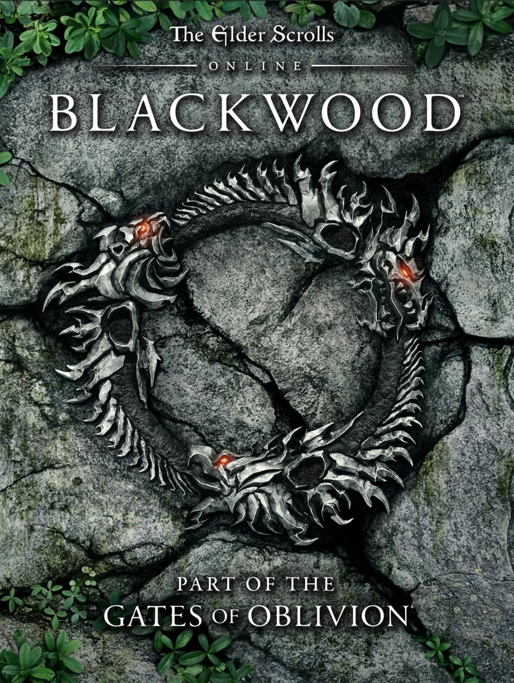 1000x1328 The Elder Scrolls Online: Blackwood and Damnation (Video 2021)