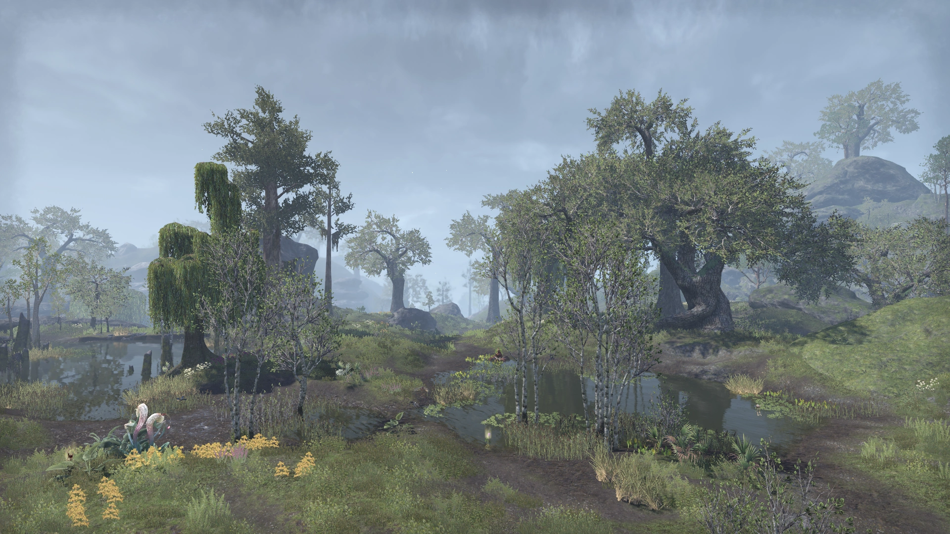 1920x1080 Blackwood (Online)