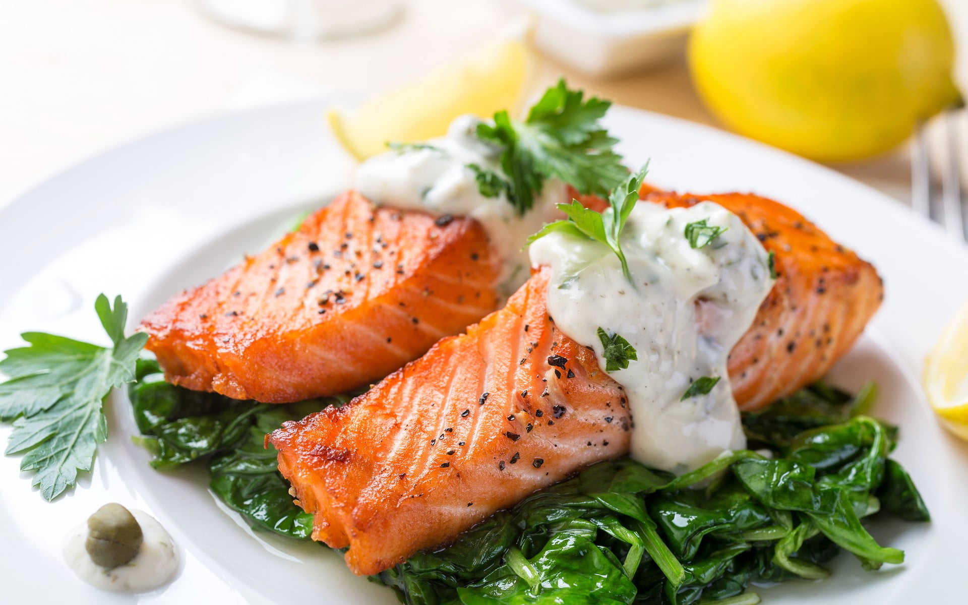 1920x1200 Cook flavor fish HD wallpaper
