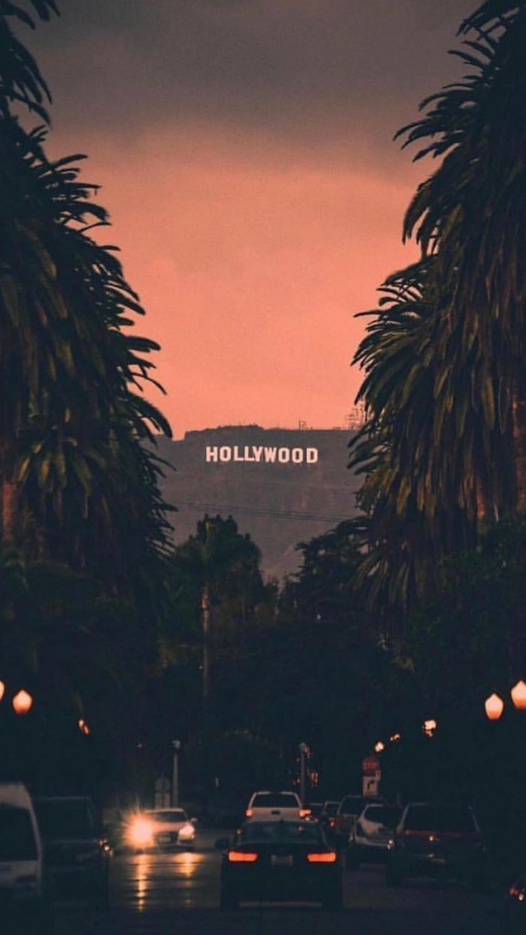 736x1308 Hollywood Sign at Night with Palm Trees and Cars. California wallpaper, Hollywood aesthetic, Wallpaper estetika