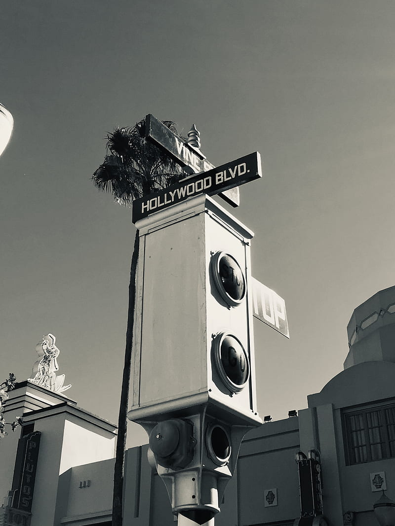 800x1067 Hollywood Studios, vintage, film, HD phone wallpaper