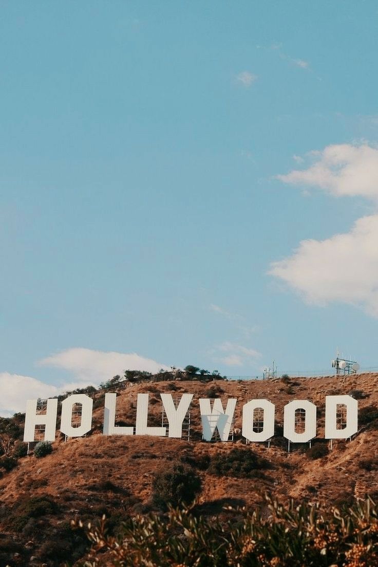 736x1103 Hollywood Sign Wallpaper