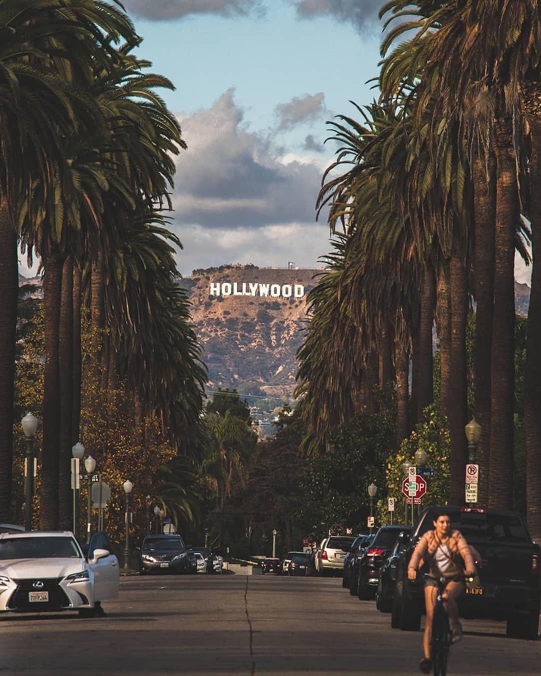 1080x1350 Download Hollywood Street Signage View Wallpaper