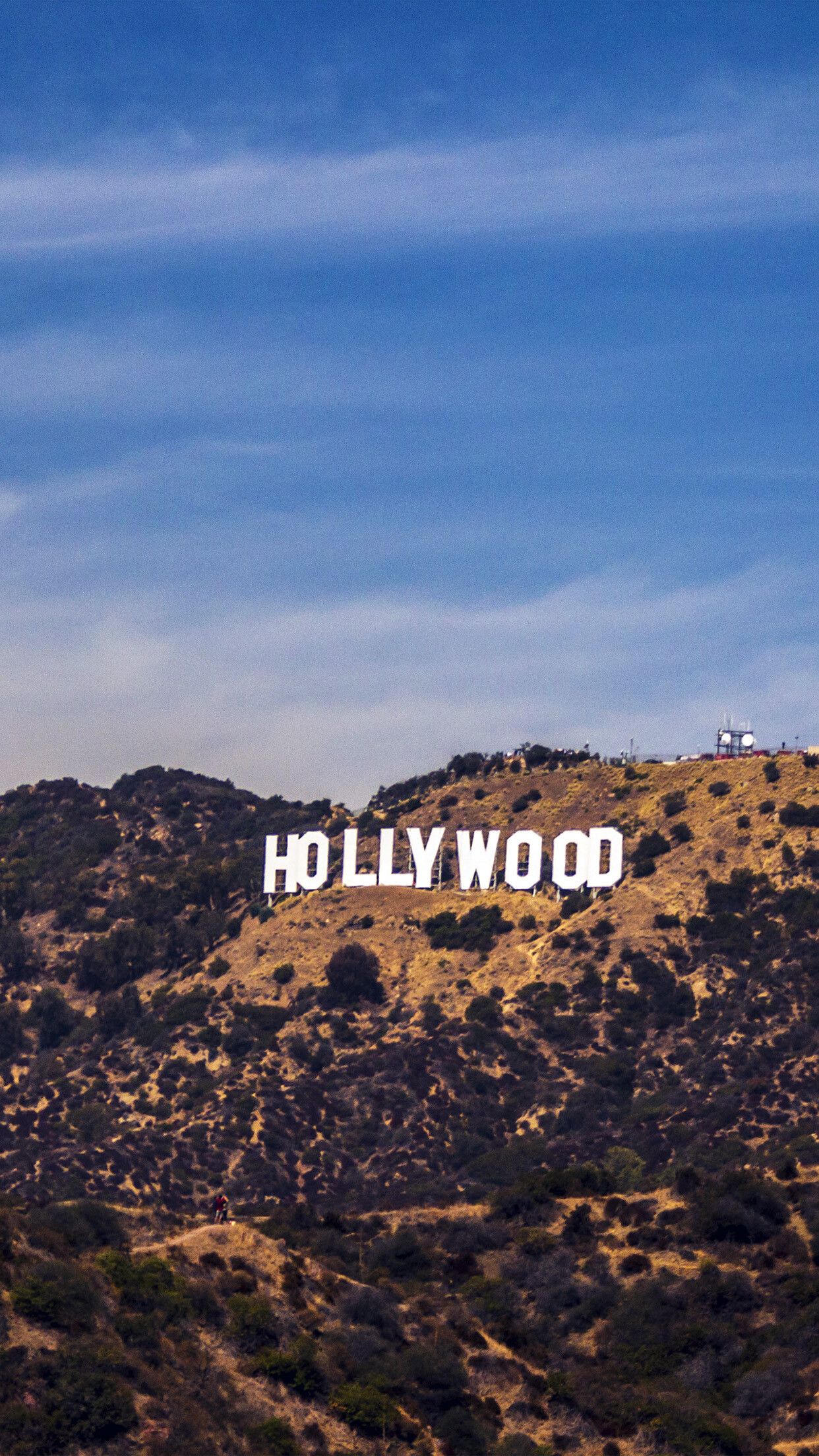 1242x2208 Hollywood Sign Wallpaper