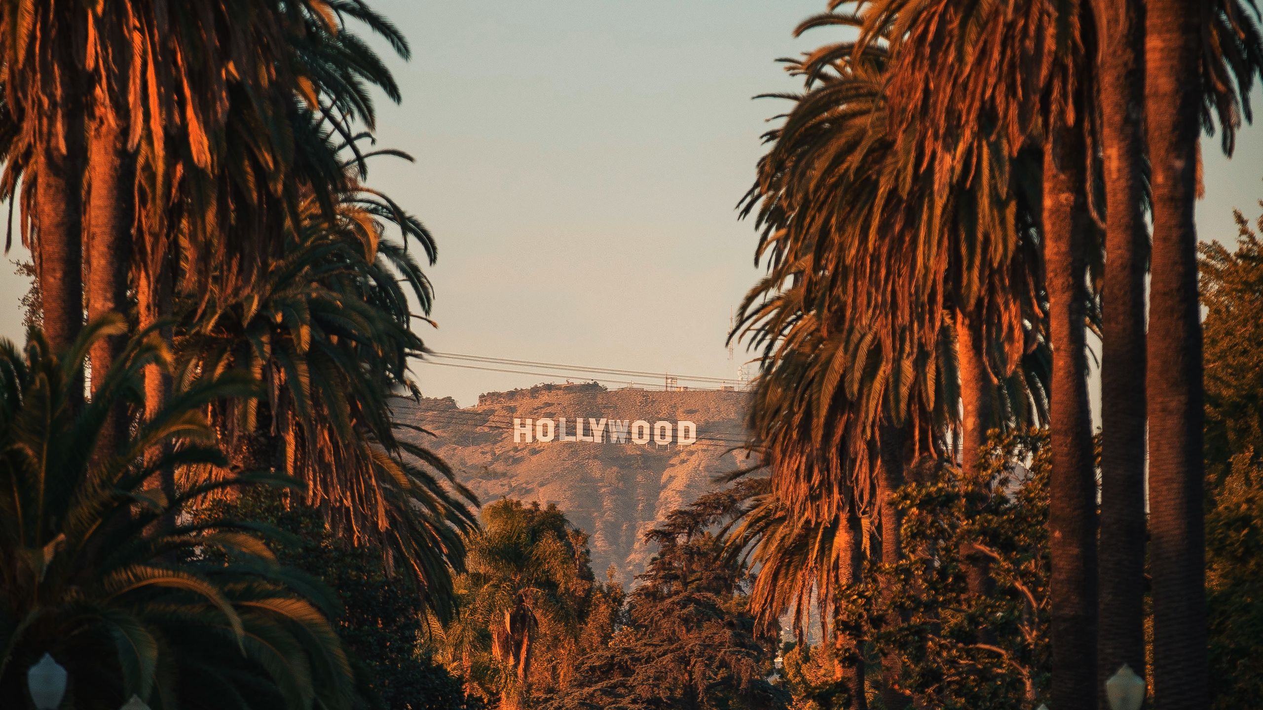 2560x1440 The Best Restaurants, Hotels, and Things to Do in Hollywood, California. Condé Nast Traveler