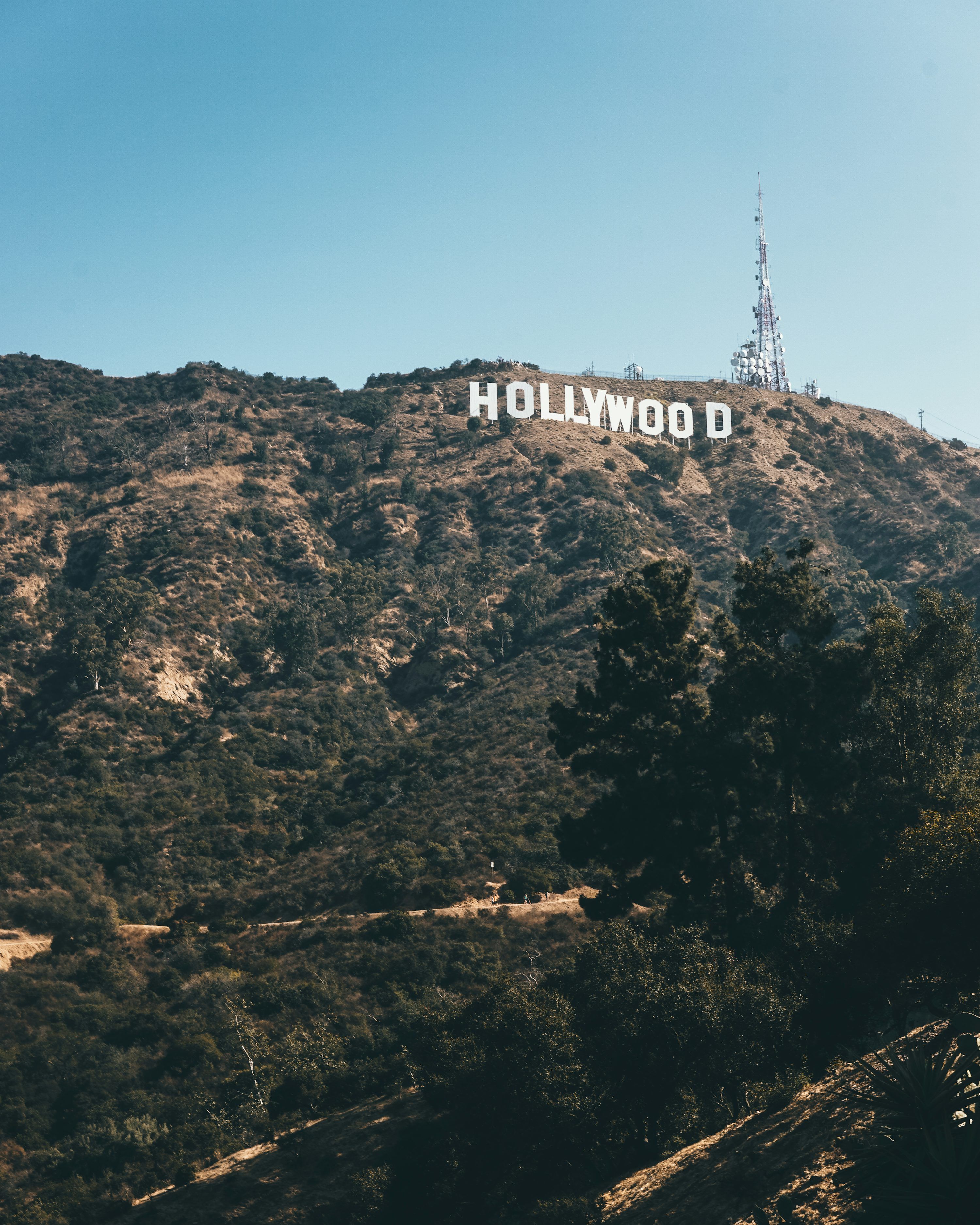 3000x3750 Hollywood
