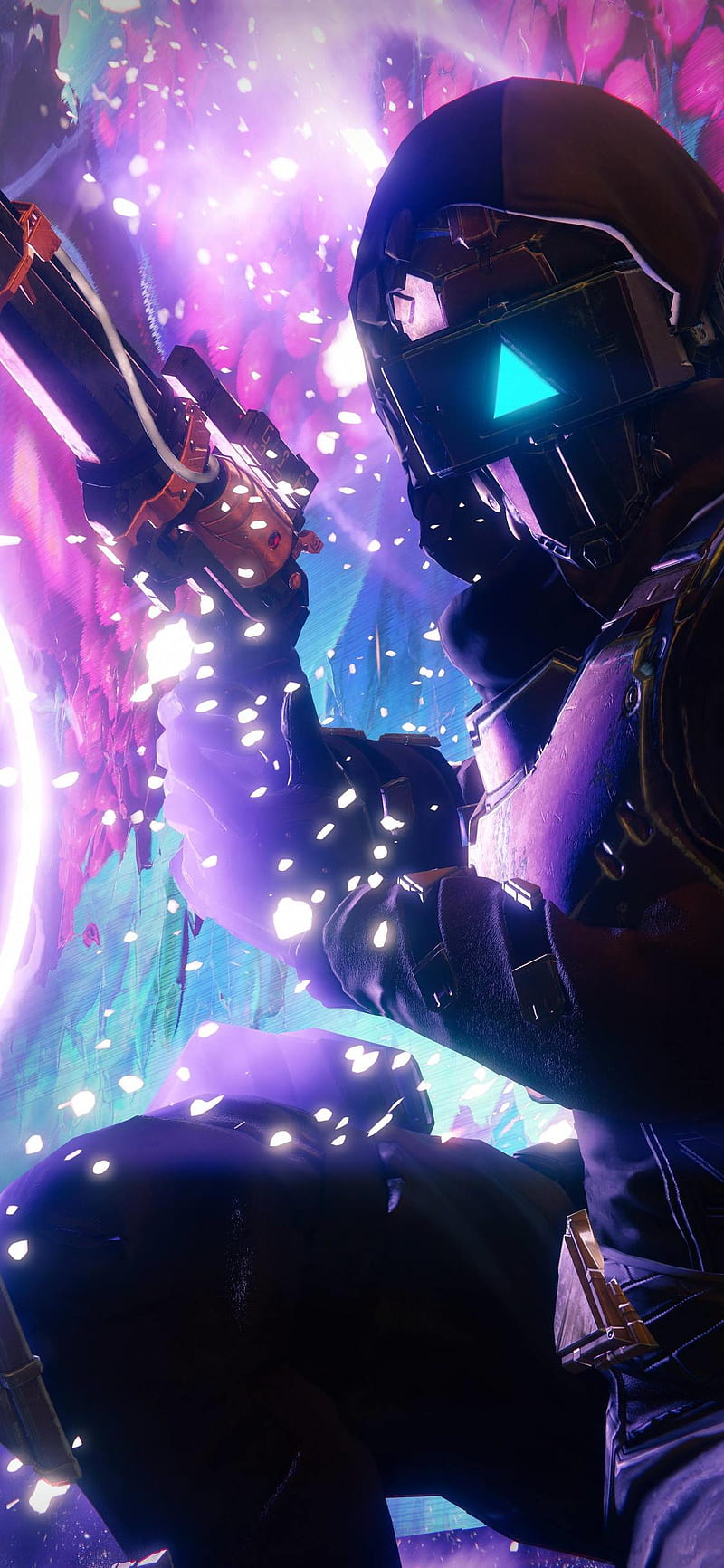 800x1732 Destiny hunter, HD phone wallpaper