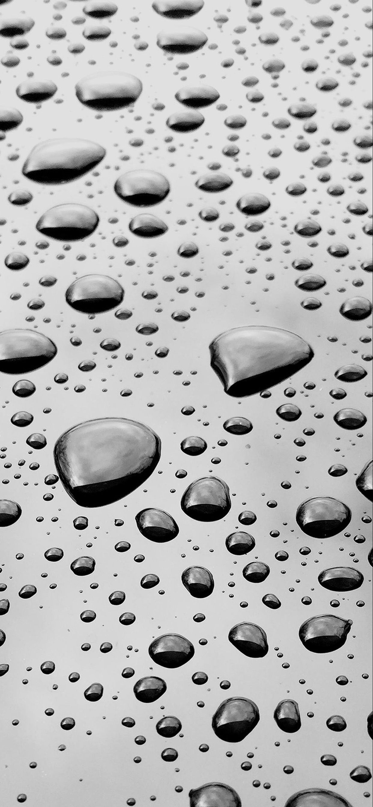 1242x2688 Wallpaper Water Droplets on Clear Glass, Background Free Image