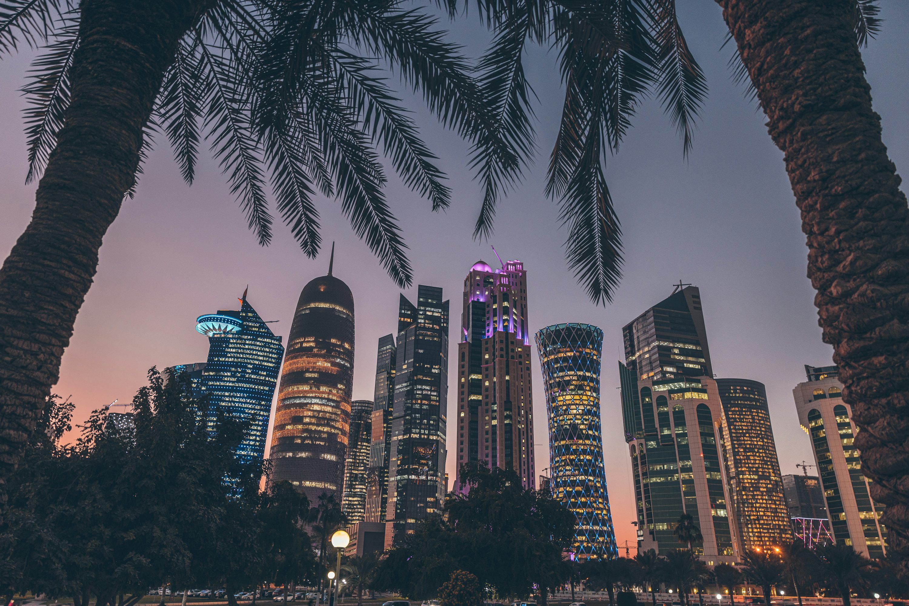 3000x2001 Palm trees and skyscrapers in a city at night photo