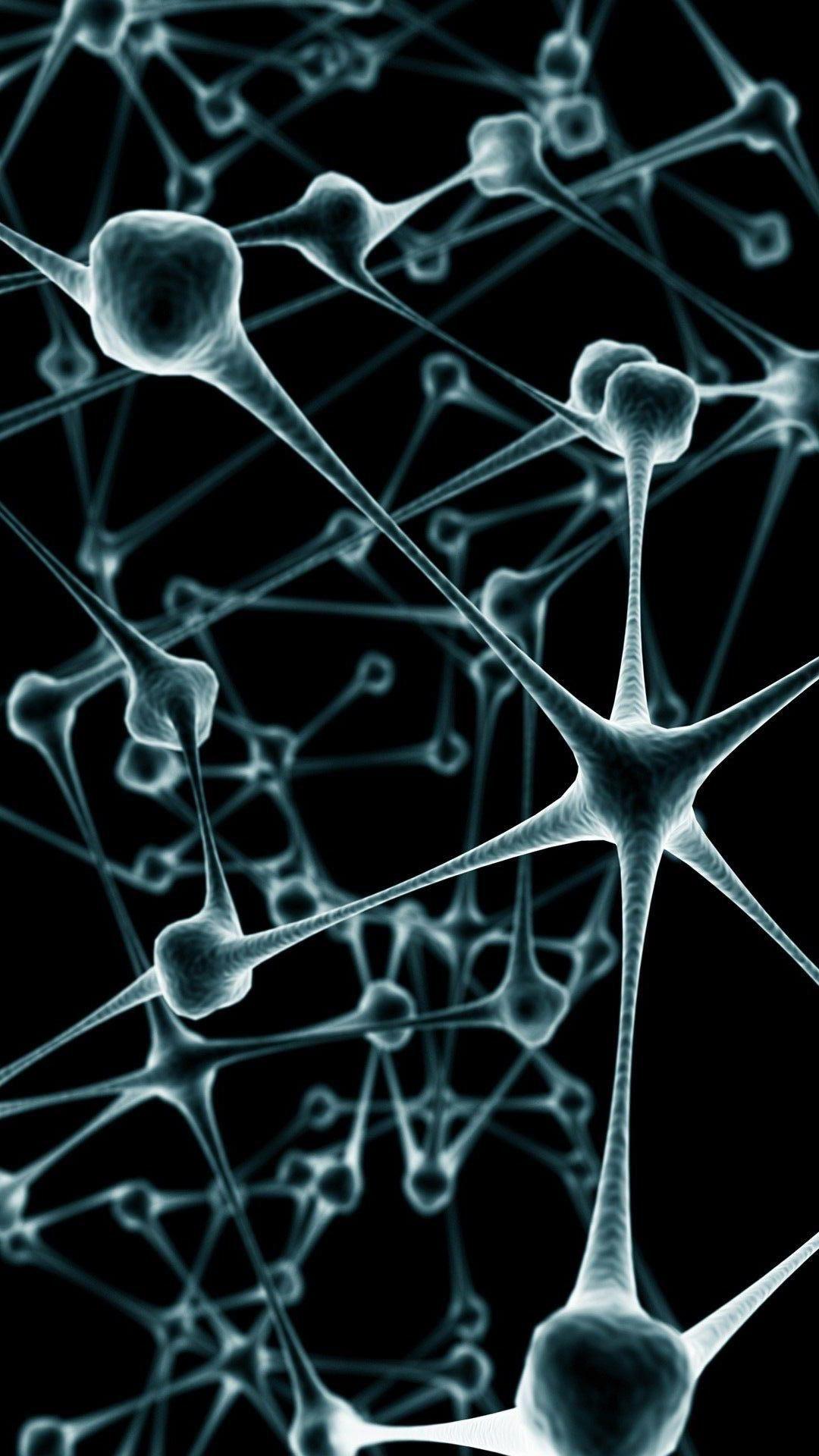 1080x1920 Biological Download At 2018 05 Biological #iphonewallpaper #phonew. Biology Art, Microscopic Photography, Science Illustration