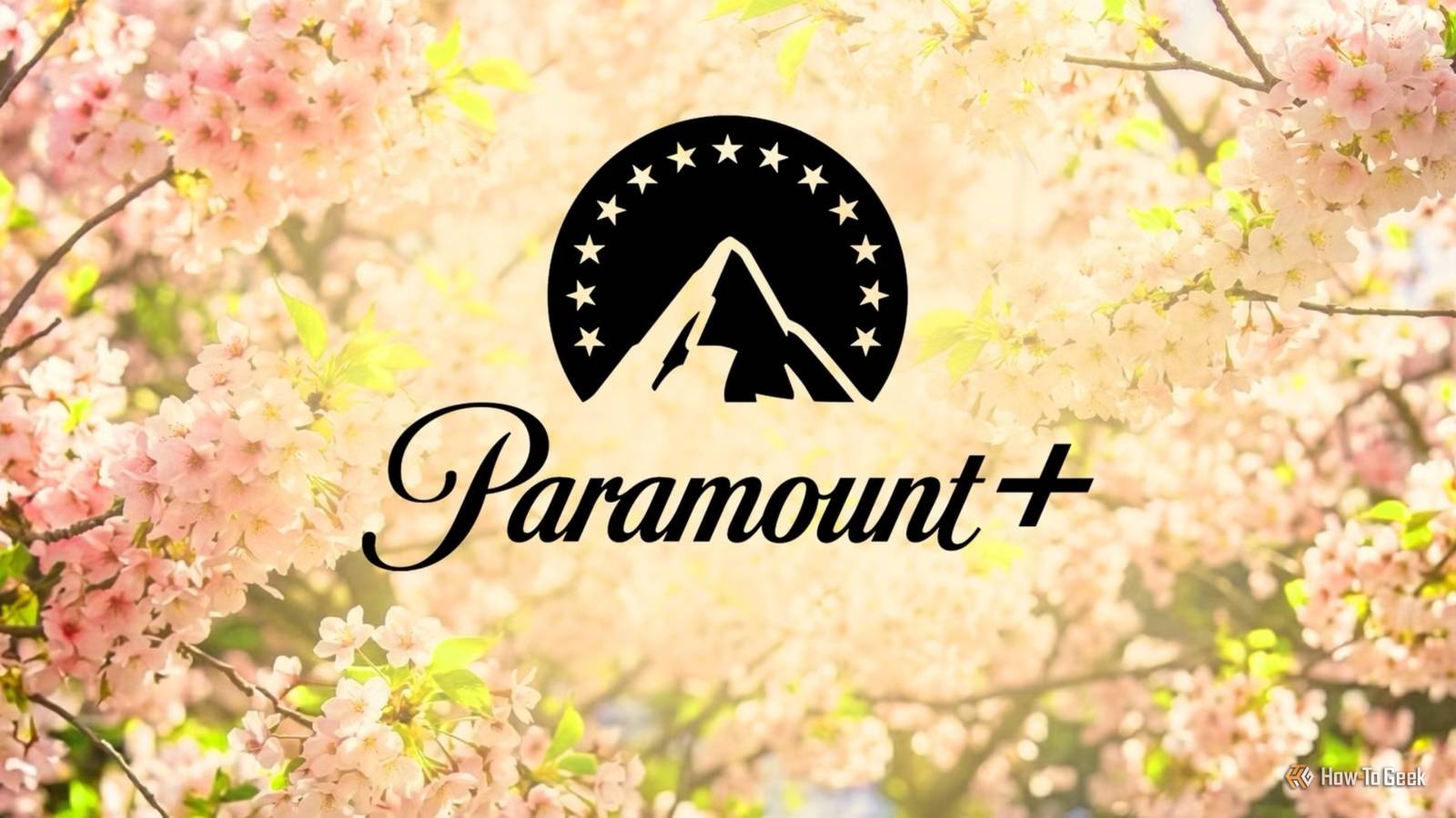 1600x900 excellent Paramount+ shows to watch and finish in one sitting