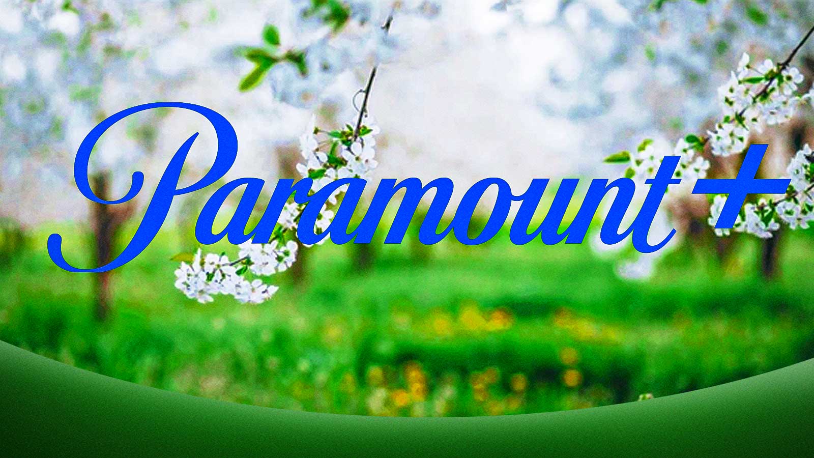 1600x900 Latest Paramount Plus News