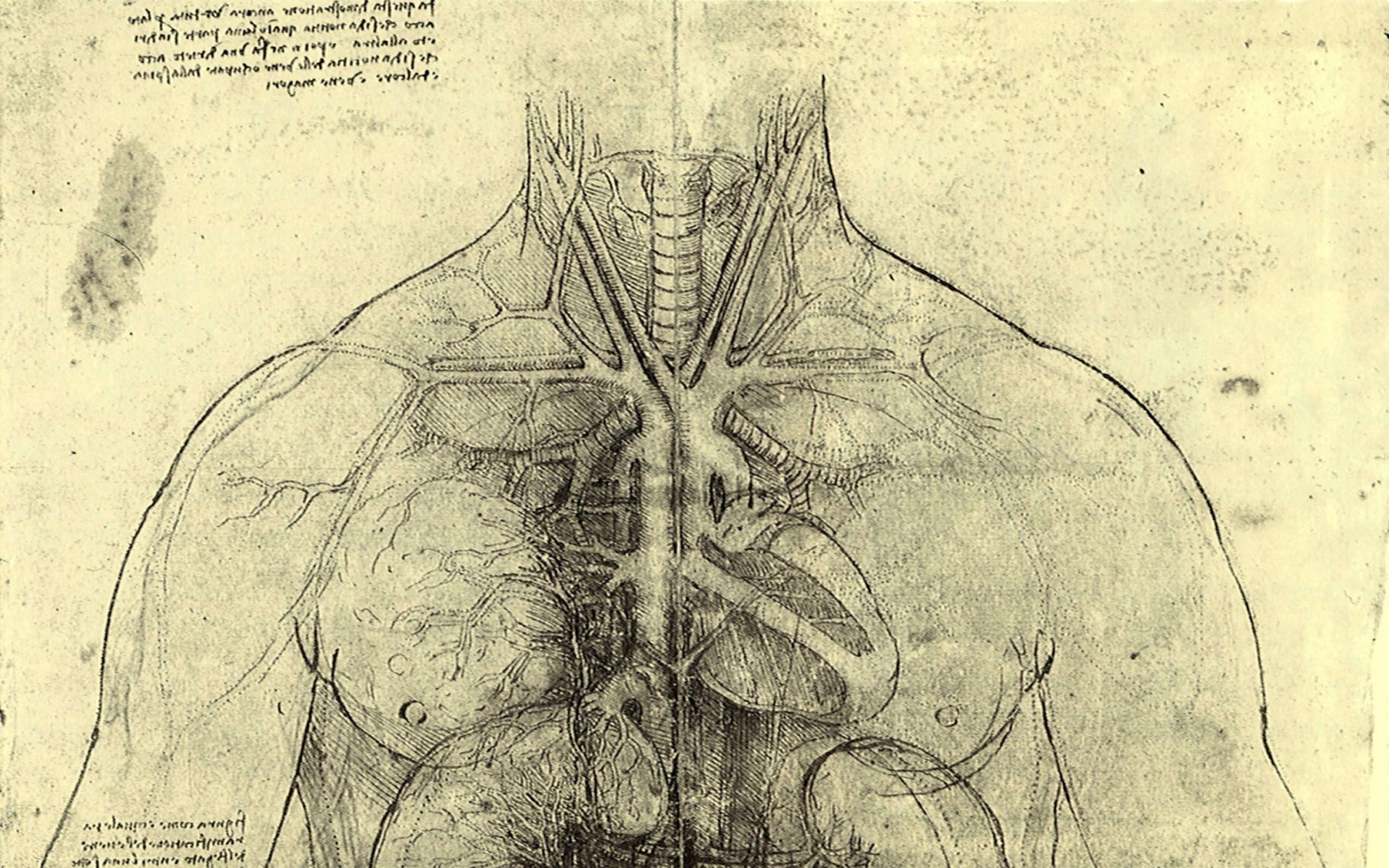 2560x1600 Biology Art Wallpaper .