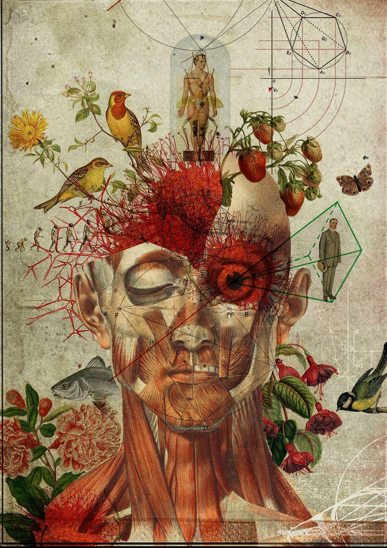 1240x1754 portifolio. Biology art, Anatomy art, Surreal art