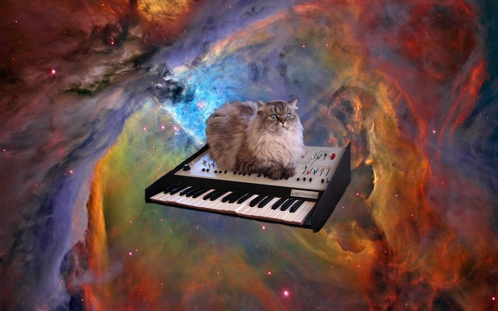 1680x1050 Cosmic Cat's Piano Voyage