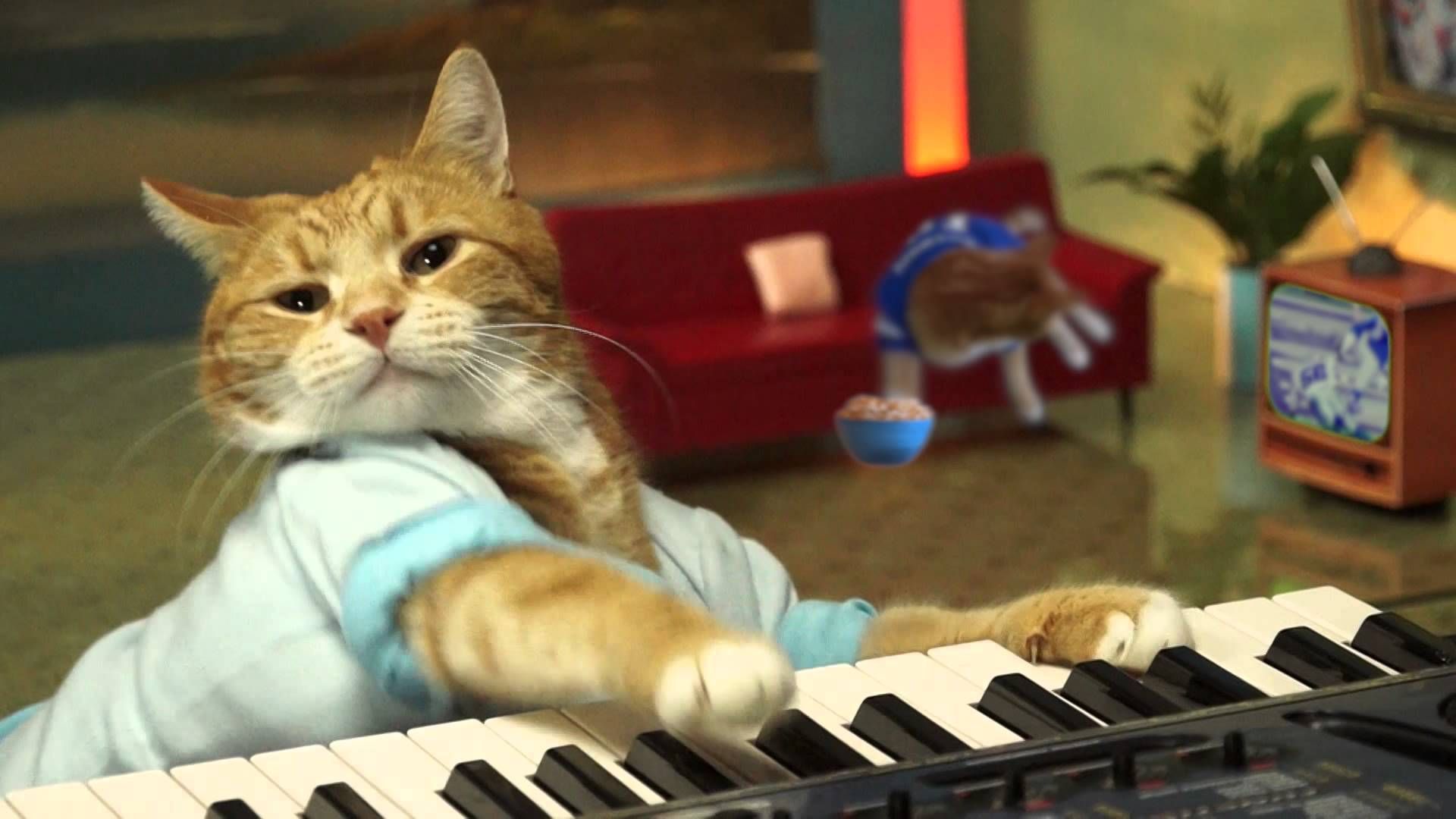 1920x1080 R.I.P. Bento, the Keyboard Cat