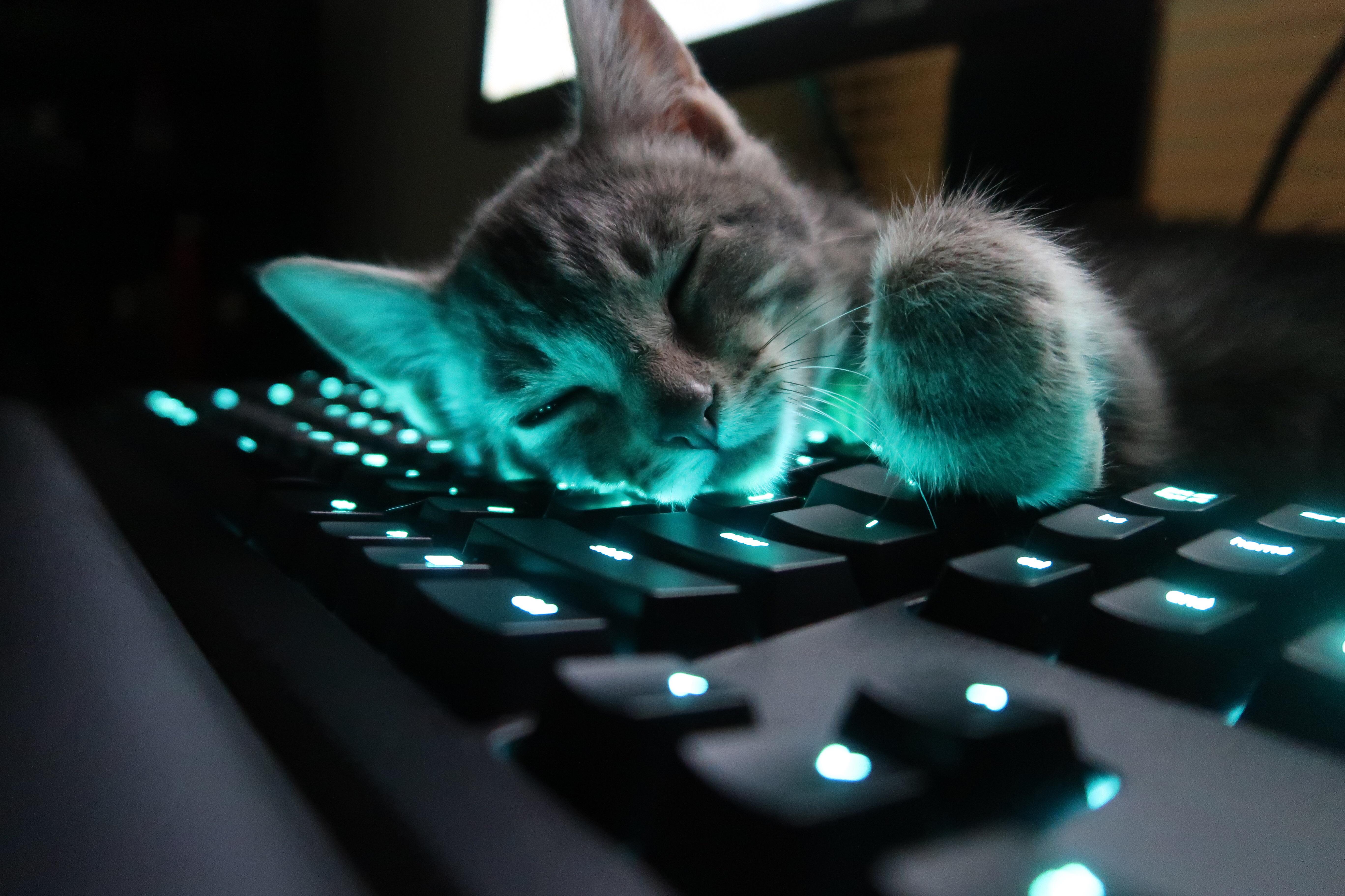 5472x3648 Warm keyboard