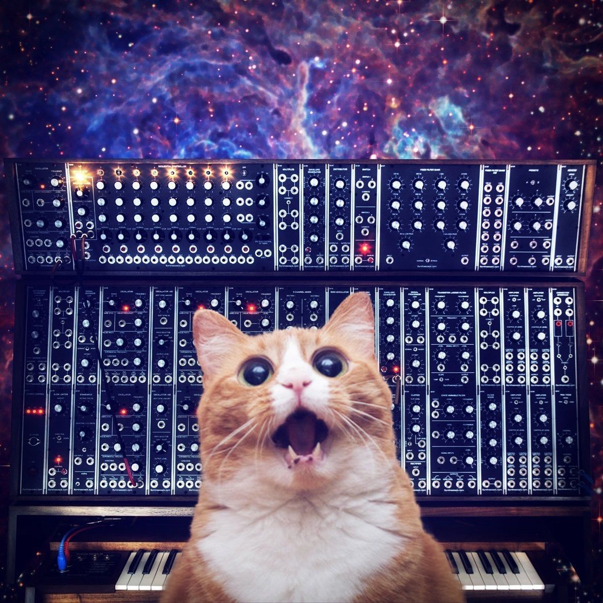 1181x1181 Need a fresh collection of cats on synthesizers in space for your desktop wallpaper? Here ya go