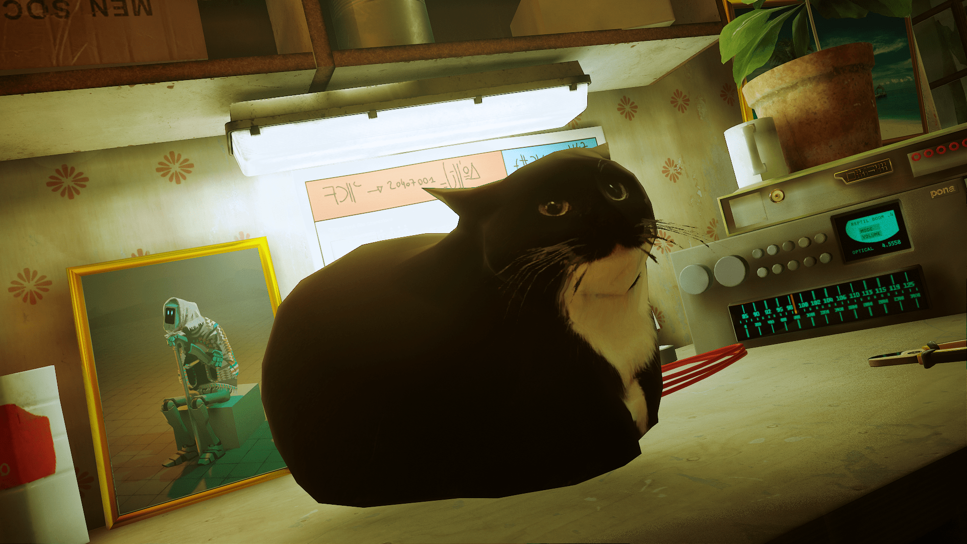1920x1080 Maxwell The Cat Wallpaper