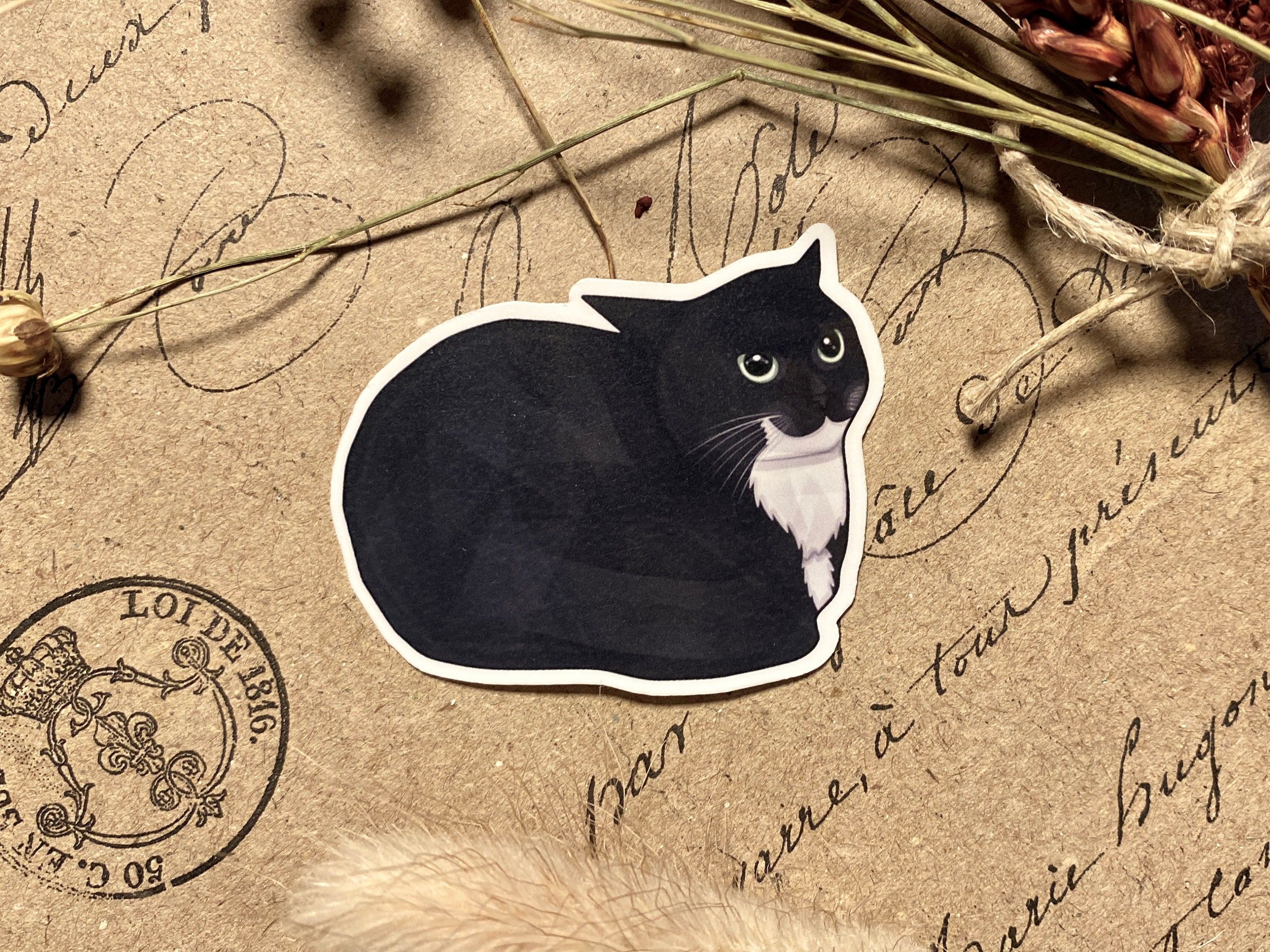 3000x2250 Maxwell The Cat Wallpaper
