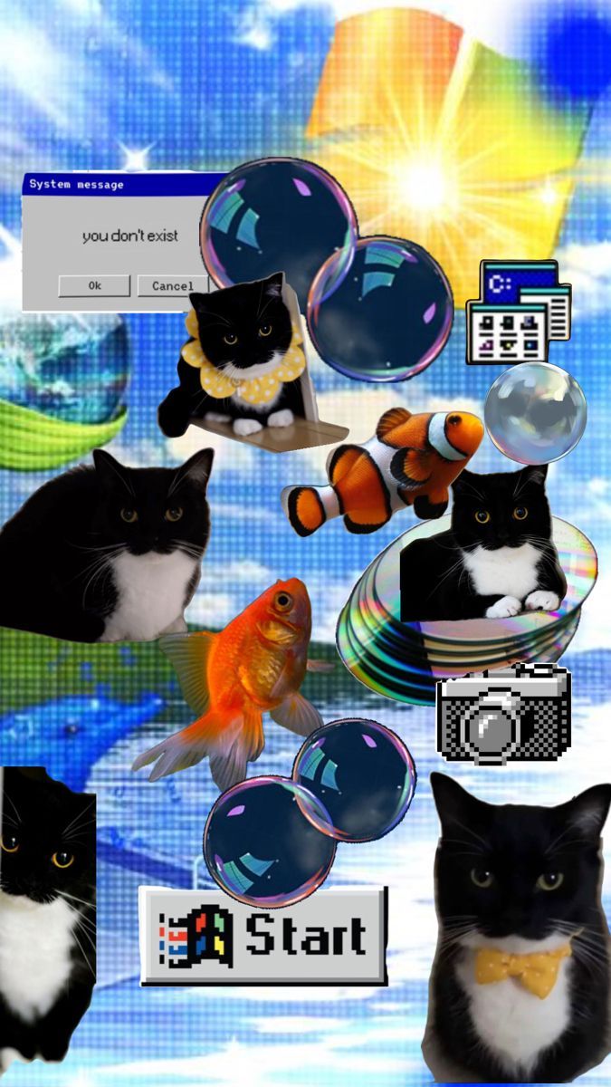 675x1200 Maxwell cat wallpaper phone. Sillycore wallpaper, Retro space cats wallpaper ideas, Uni cat