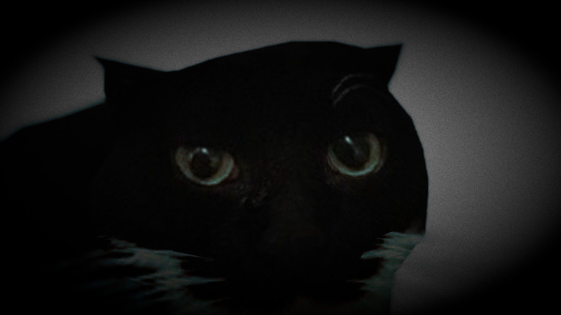 1920x1080 Maxwell the cat model by GOD [1d5e1ed]