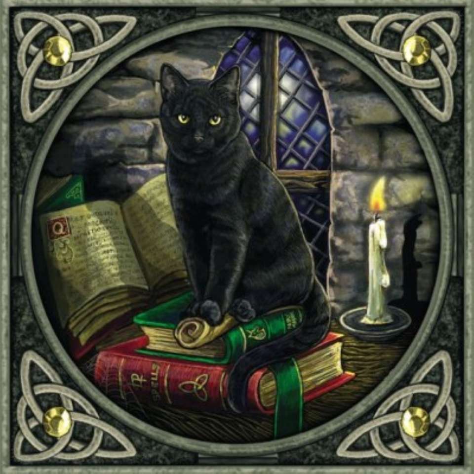 960x960 Maxwell the Cat