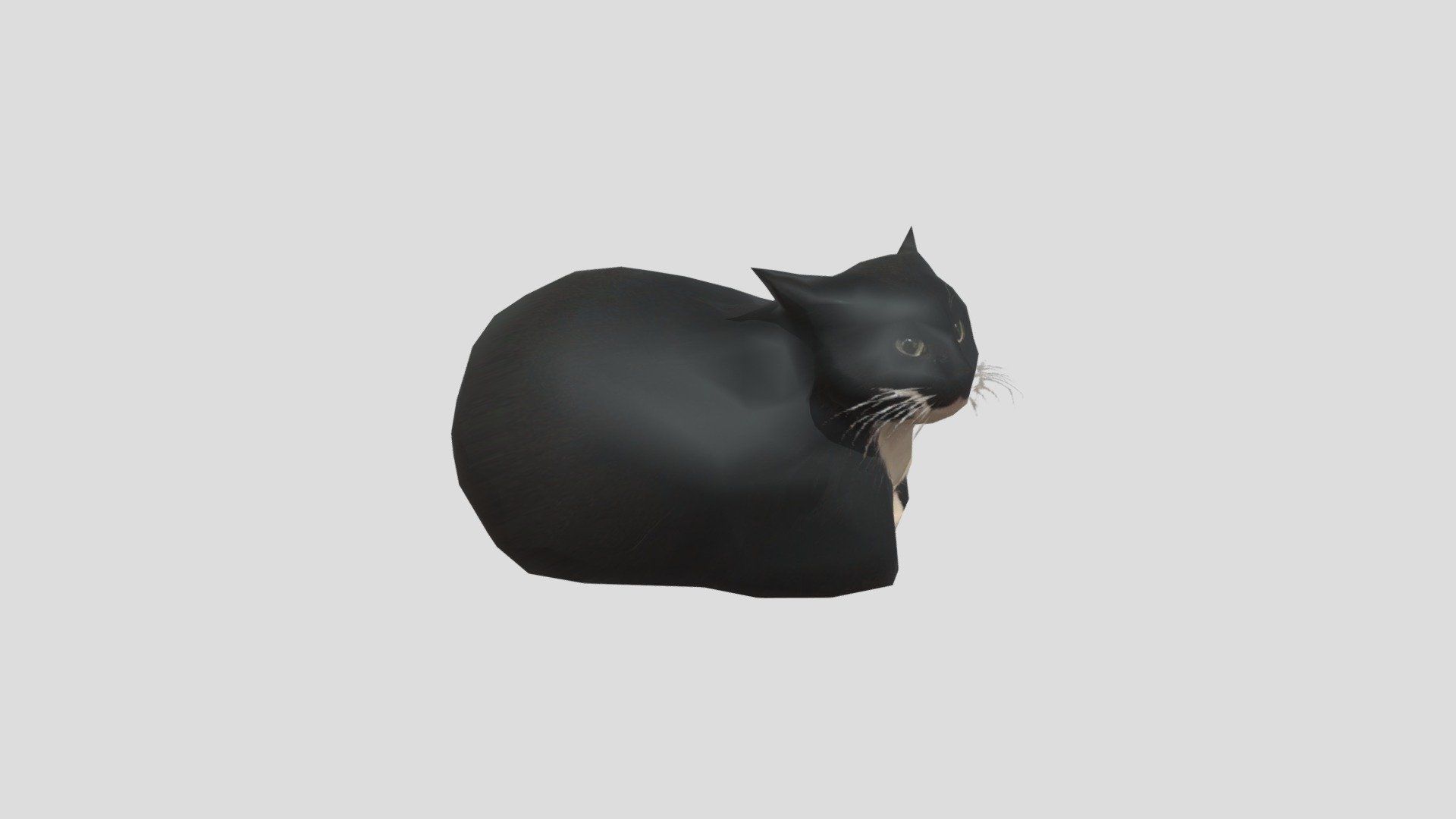 1920x1080 Maxwell Cat Free 3D model by AidanYT55Twt [c077211]