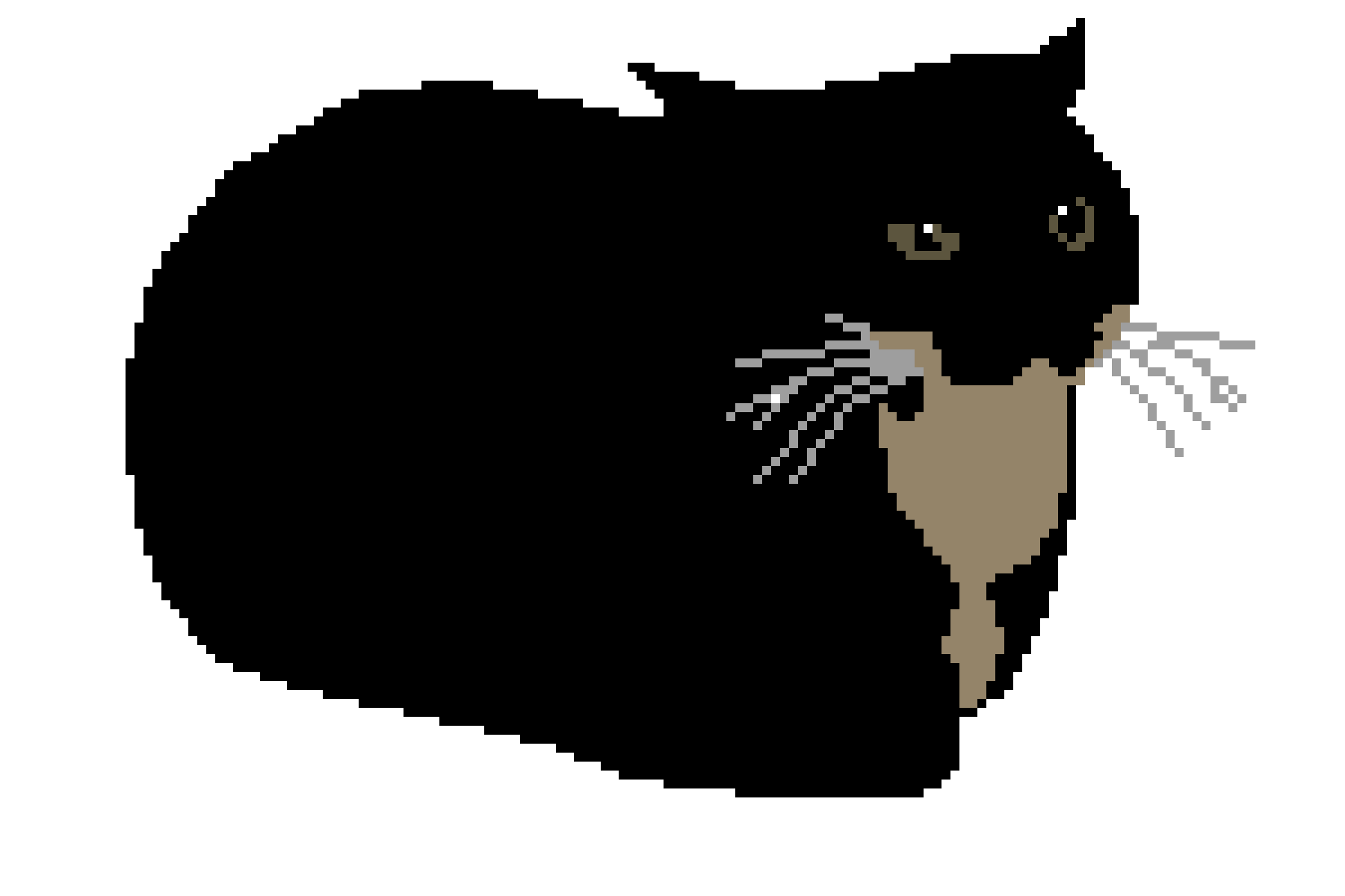 1800x1200 Pixilart The Cat