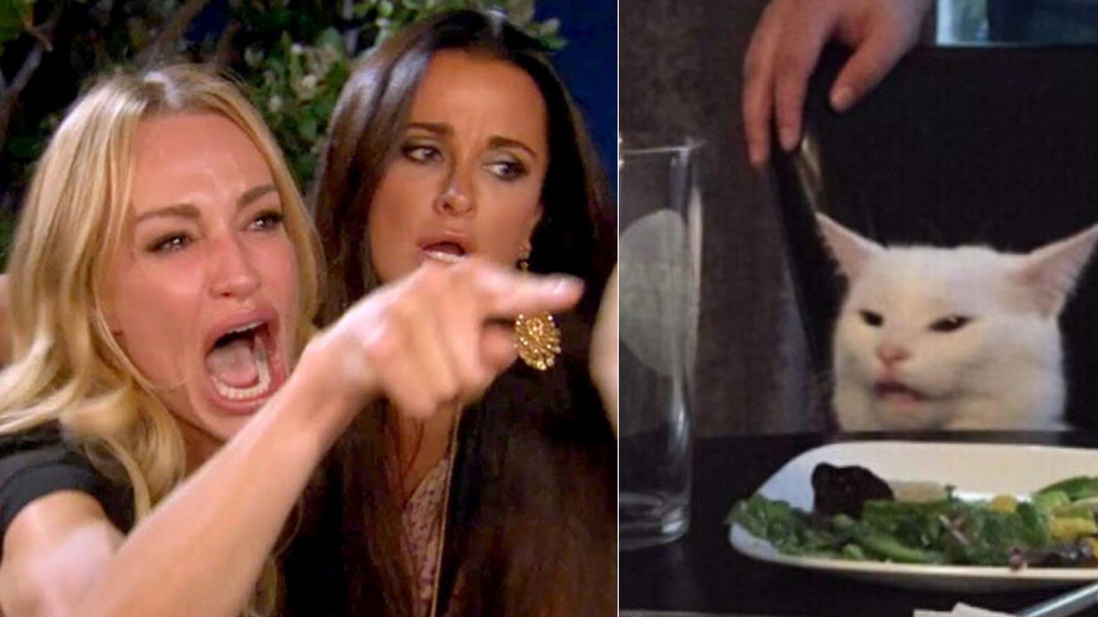 1600x900 Woman Yelling at Cat: How Smudge the Cat Became the Best Meme of 2019