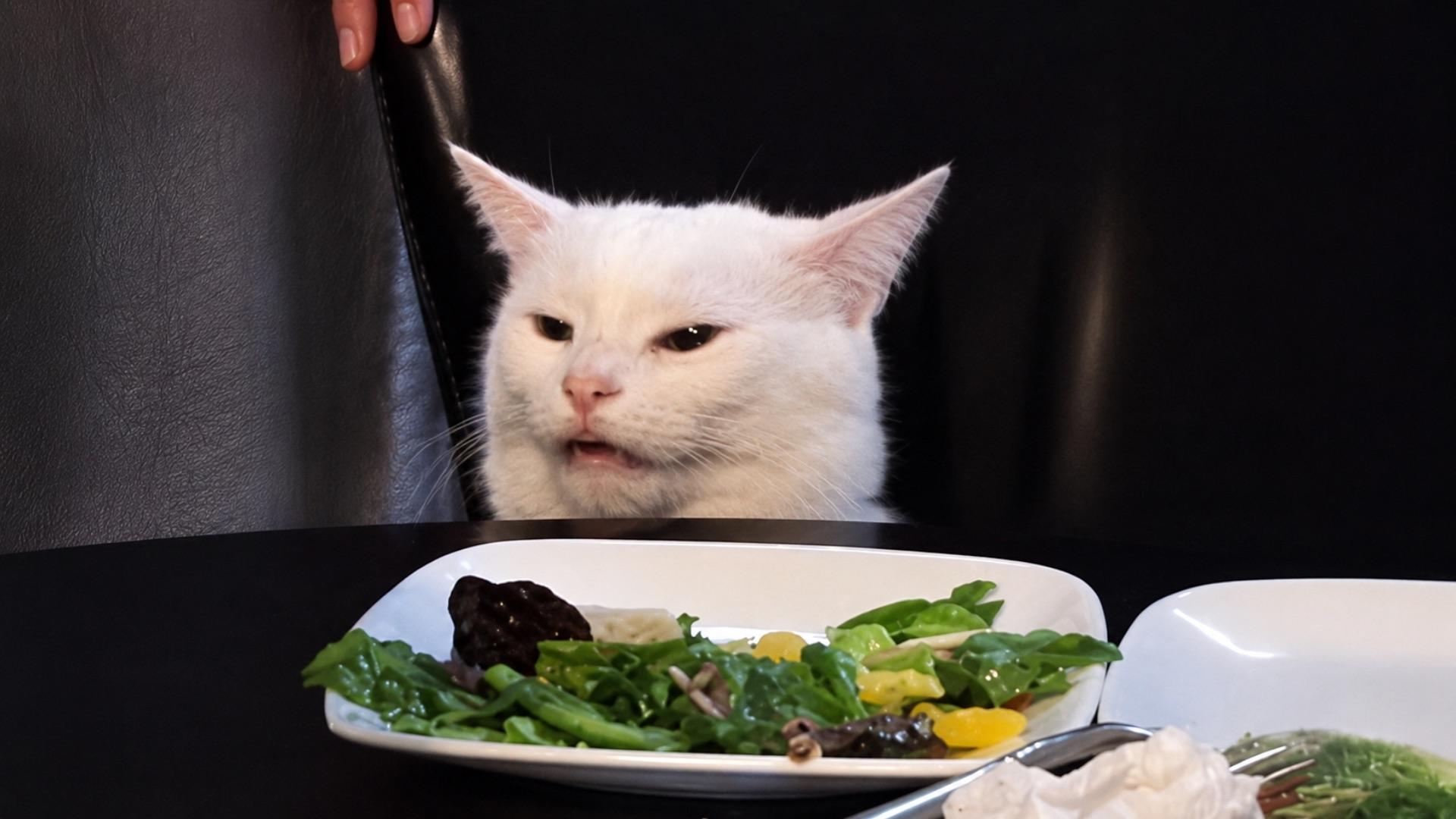 1920x1080 Woman yelling at a cat -Dual screen wallpaper [1920x1080]