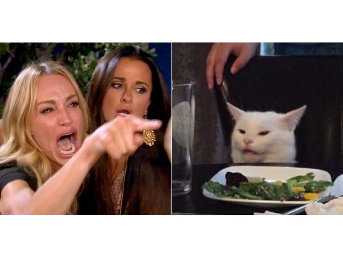 1200x900 Woman Yelling at Cat: How Smudge the Cat Became the Best Meme of 2019