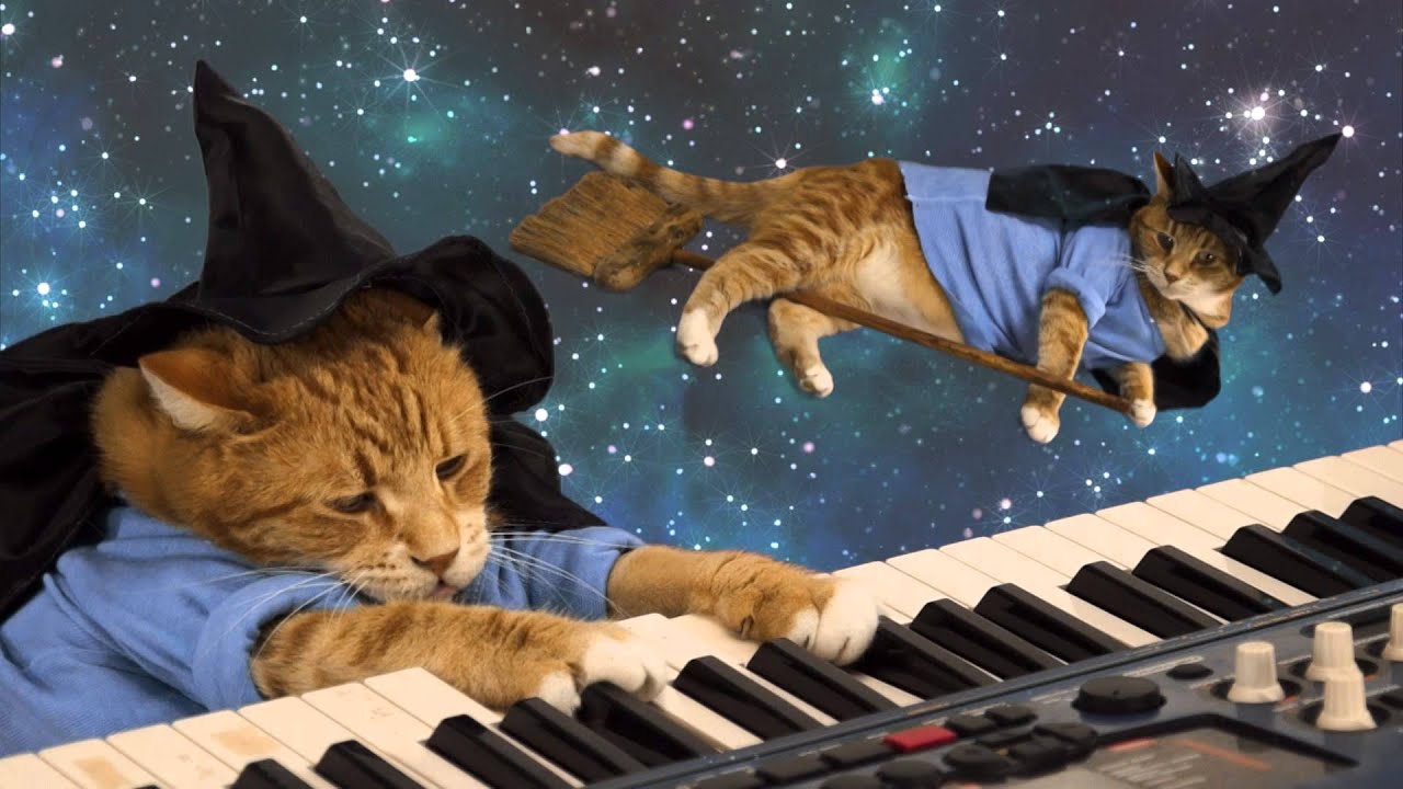 1280x720 Keyboard Cat Happy Halloween