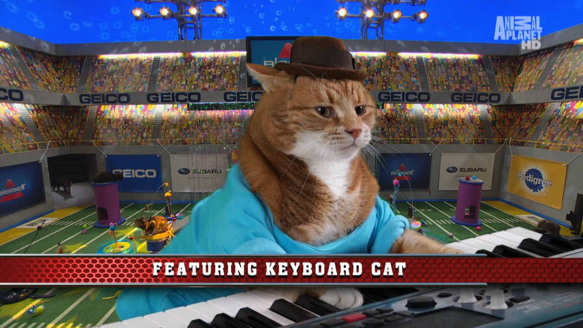 1920x1080 Keyboard Cat: Anatomy of a Meme