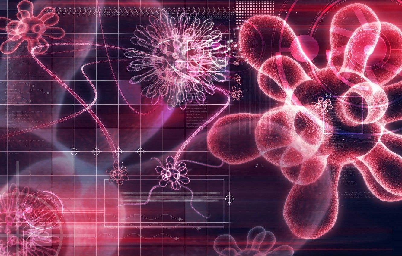 Biology Art Wallpapers Top Free Biology Art Backgrounds WallpaperAccess