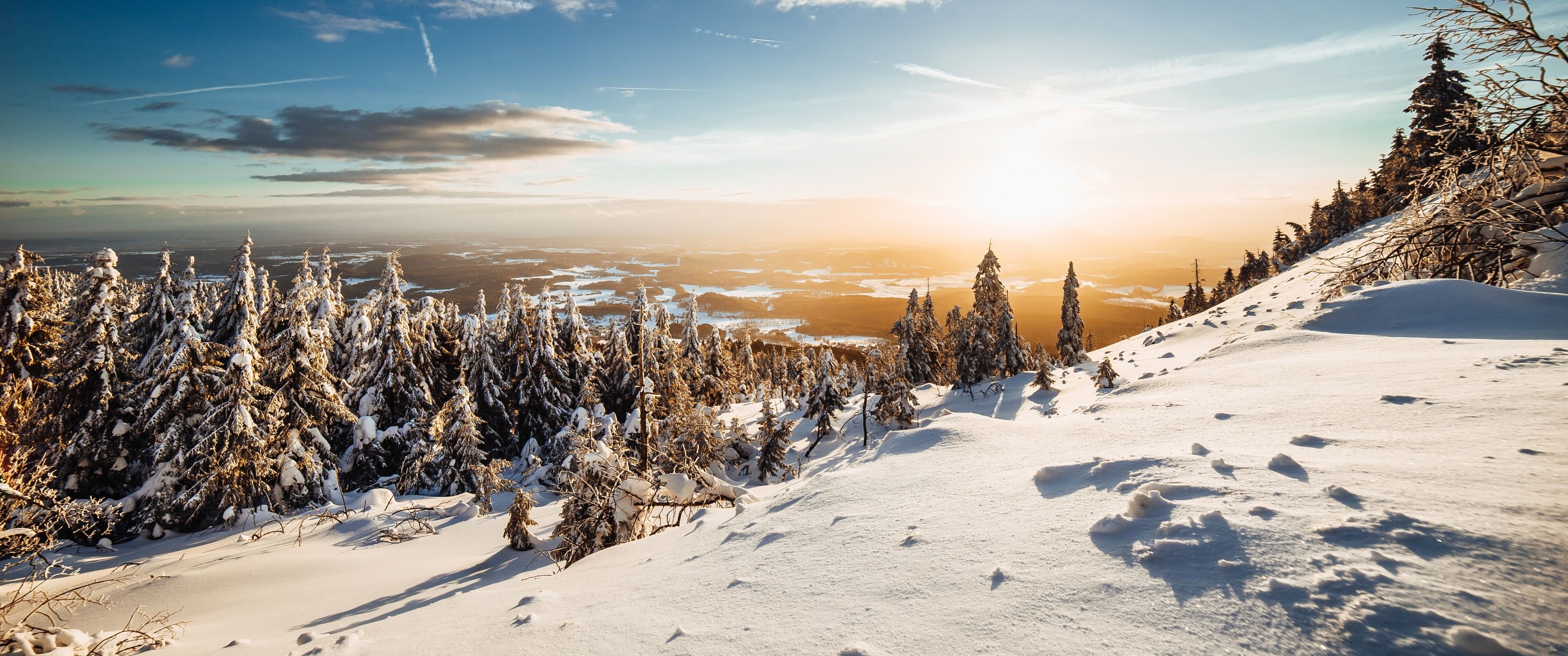 3440x1440 Winter Wallpaper 4K, Landscape, Pine trees