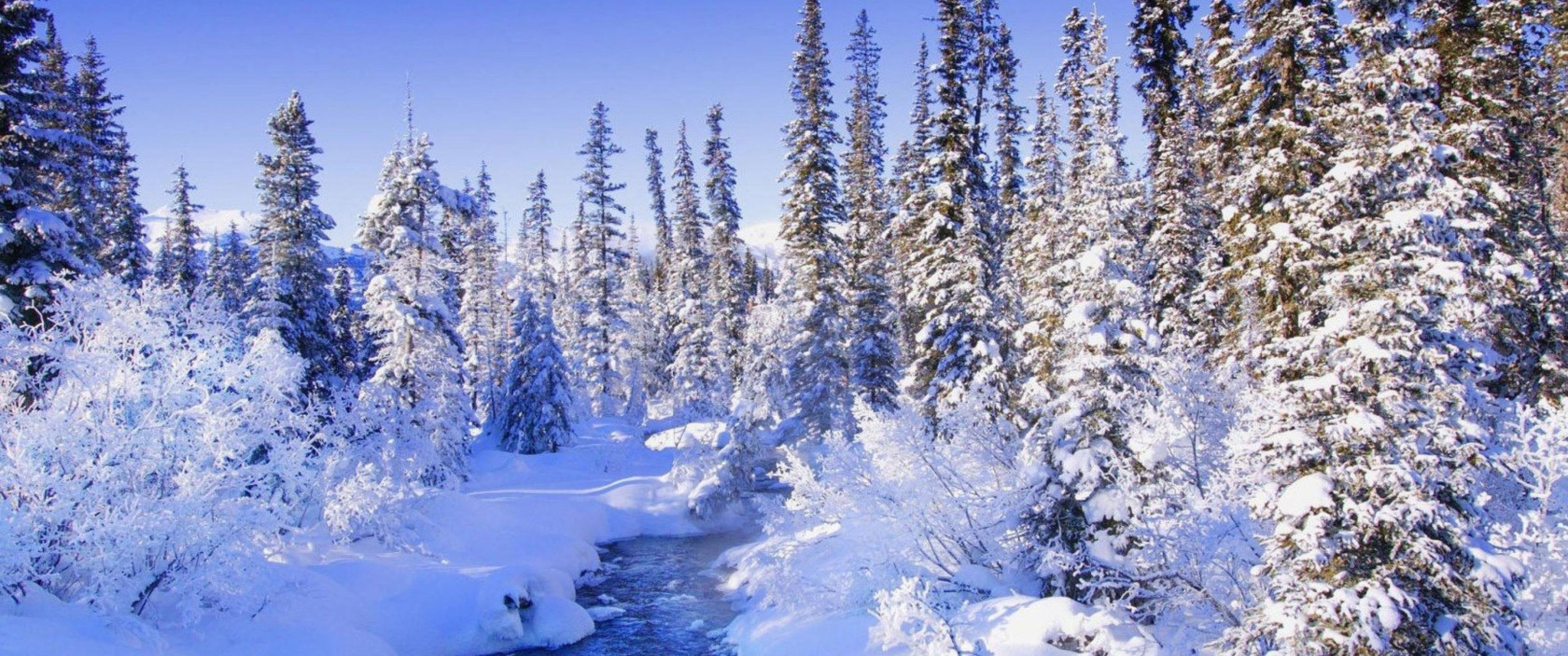 3440x1440 Download Winter forest, Winter, Snow, Sun, Pine, Spruce, Sky, Clouds, River Wallpaper in 3440x1440 Resolution