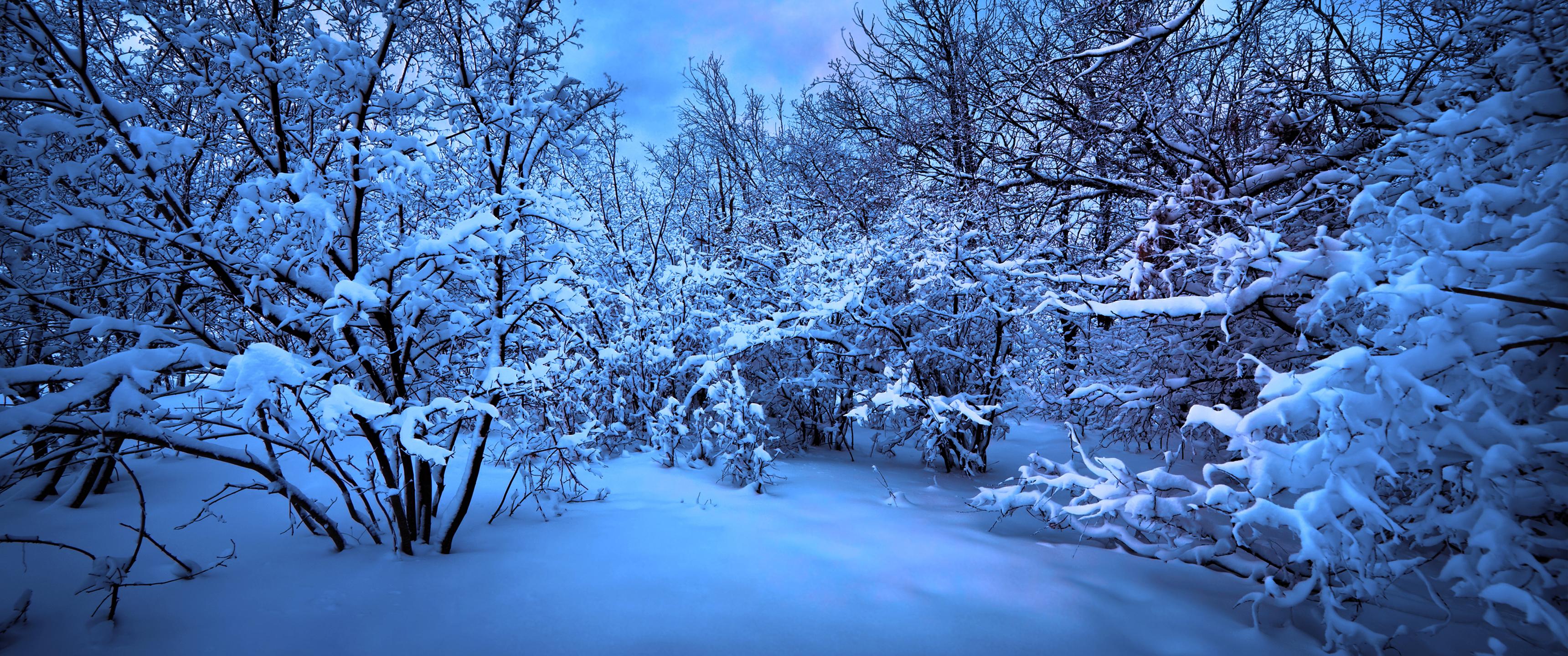3440x1440 Winter 3440x1440 Wallpaper