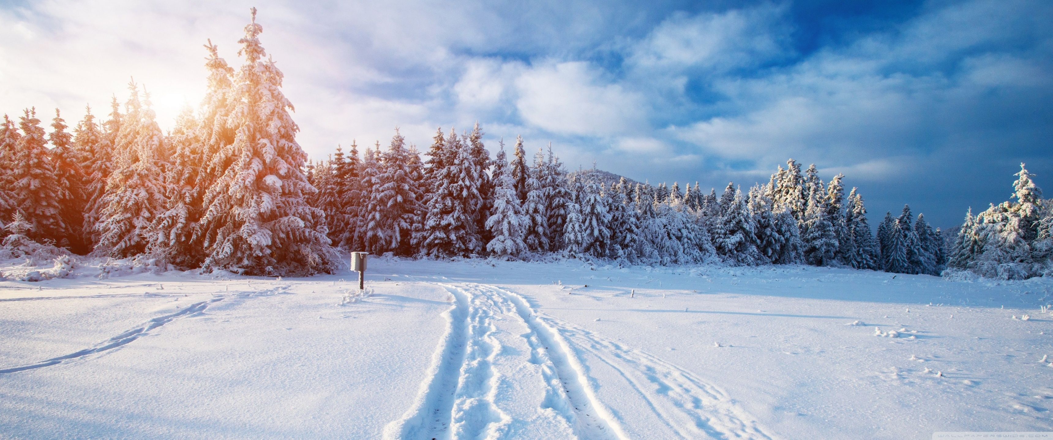 3440x1440 Winter 4K UHD Wallpaper for UltraHD Desktop and TV : Widescreen and UltraWide Display : Smartphone and Tablet Devices