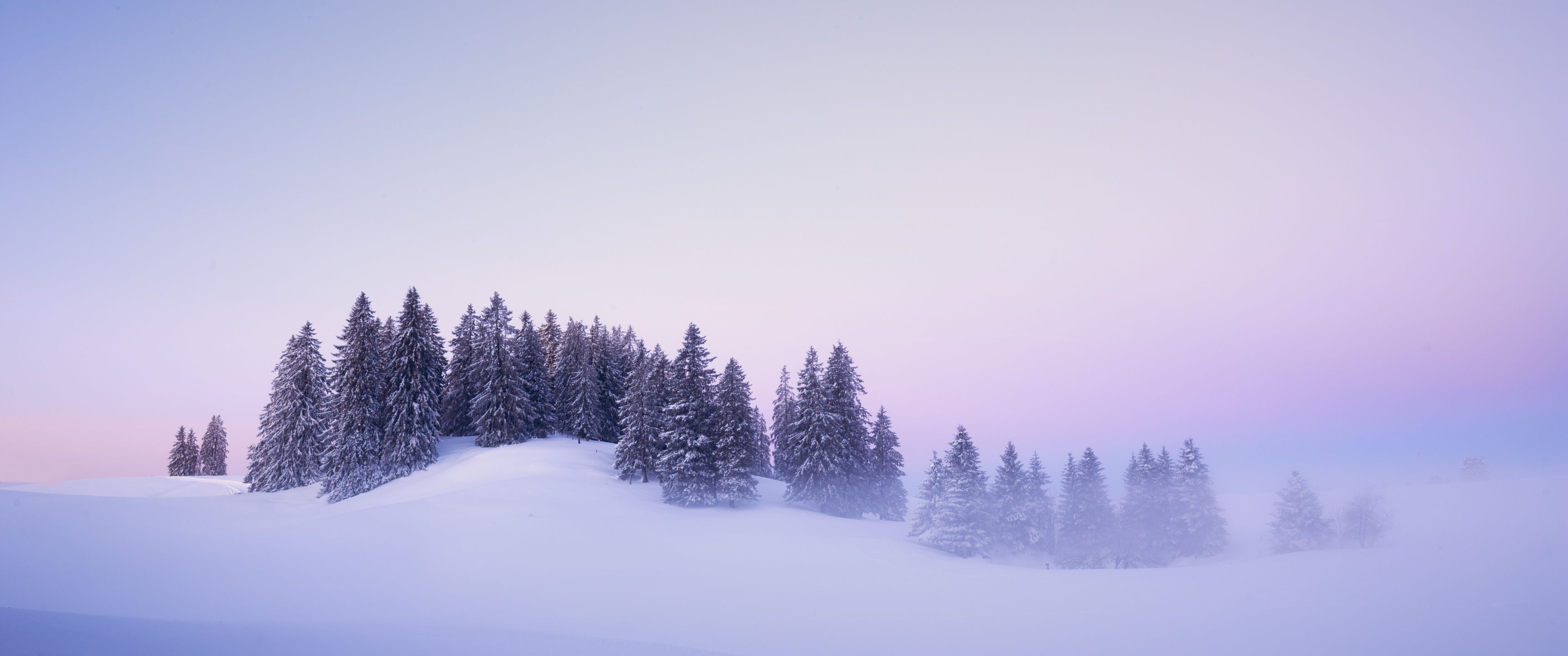 3440x1440 Winter Wallpaper 4K, Snow covered, Foggy, Trees